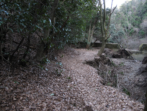 20160128hike (406)